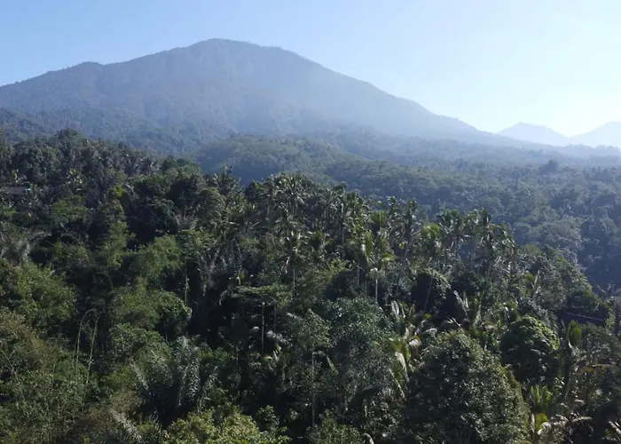 Jungle House شاليه *