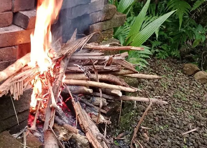 Jungle House